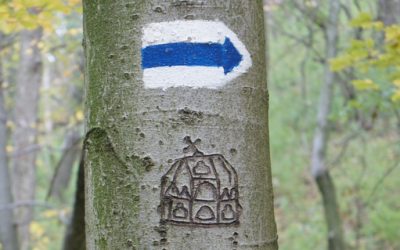 Hiking in Hungary along the National Blue Trail