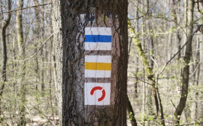 Trail markers of Hungary